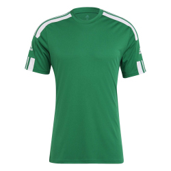 adidas Squadra 21 Trikot Kurzarm team green/white S