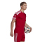 adidas Squadra 21 Trikot Kurzarm team power red/white XS