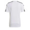 adidas Squadra 21 Trikot Kurzarm white/black XS