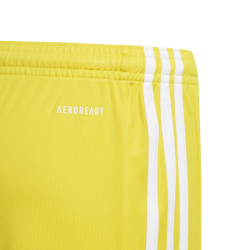adidas Squadra 21 Shorts Kinder team yellow/white 116