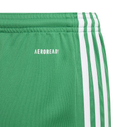 adidas Squadra 21 Shorts Kinder team green/white 116