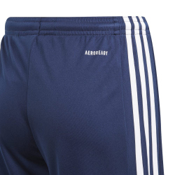 adidas Squadra 21 Shorts Kinder team navy blue/white 152