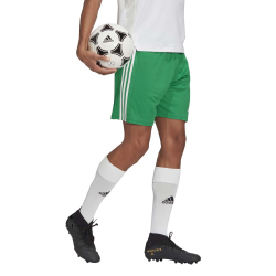 adidas Squadra 21 Fu&szlig;ball Shorts team green/white L