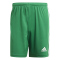 adidas Squadra 21 Fu&szlig;ball Shorts team green/white XXL