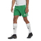 adidas Squadra 21 Fu&szlig;ball Shorts team green/white XXL