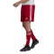 adidas Squadra 21 Fu&szlig;ball Shorts team power red/white S