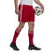 adidas Squadra 21 Fußball Shorts team power red/white XXL