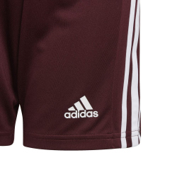 adidas Squadra 21 Shorts Kinder team maroon/white 152