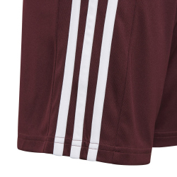 adidas Squadra 21 Shorts Kinder team maroon/white 152