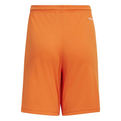 adidas Squadra 21 Shorts Kinder GN8082 - team...