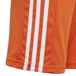 adidas Squadra 21 Shorts Kinder GN8082 - team...