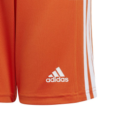 adidas Squadra 21 Shorts Kinder GN8082 - team...