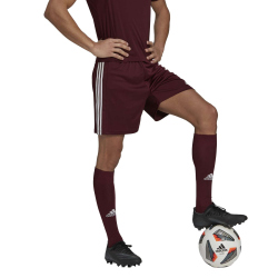 adidas Squadra 21 Fu&szlig;ball Shorts team maroon/white S