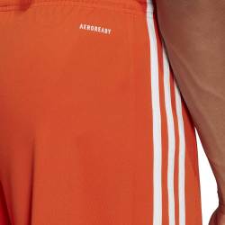 adidas Squadra 21 Fu&szlig;ball Shorts team orange/white S