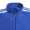 adidas Squadra 21 Präsentationsjacke Kinder team royal blue/white 116