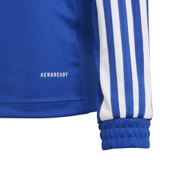 adidas Squadra 21 Trainings-Top Kinder team royal blue/white 116