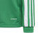 adidas Squadra 21 Trainings-Top Kinder team green/white 116