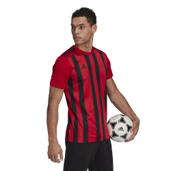 adidas Striped 21 Trikot tmpwrd/black S