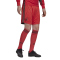 adidas DFB Deutschland Torwartshorts