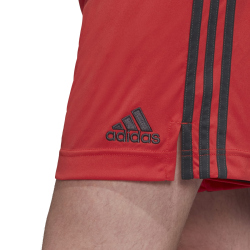 adidas DFB Deutschland Torwartshorts glored S
