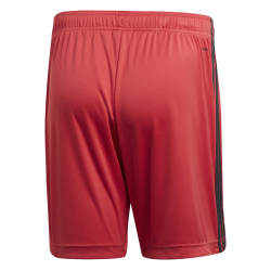 adidas DFB Deutschland Torwartshorts glored S