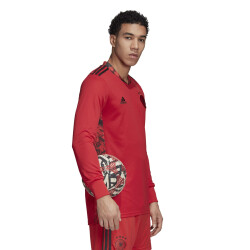 adidas DFB Deutschland Torwarttrikot glored S