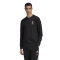 adidas DFB Deutschland Langarmshirt FM5579 - black S