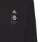 adidas DFB Deutschland Langarmshirt FM5579 - black S