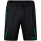 JAKO Challenge Trainingsshorts