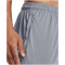 UNDER ARMOUR Tech Graphic Trainingsshorts Herren 035 - steel/black XXL