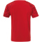 uhlsport 1. FC K&ouml;ln Goal 24 Ausgeh T-Shirt 2021/22 rot 3XL