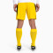 PUMA Team Liga Core Stutzenstrümpfe cyber yellow/puma black 27-30