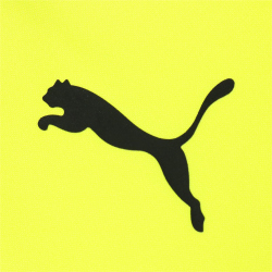 PUMA BVB Borussia Dortmund Training 1/4-Zip Top safety yellow/puma black XXL