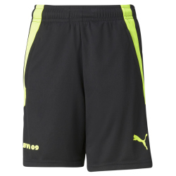 PUMA BVB Borussia Dortmund Trainingsshorts Kinder puma...