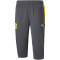 PUMA BVB Borussia Dortmund 3/4 Trainingshose asphalt XXL