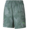 PUMA Borussia Mönchengladbach Auswärtsshorts Kinder laurel wreath/elektro green 128
