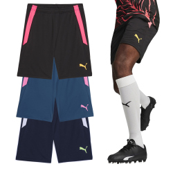 PUMA teamLIGA Training Trainingsshorts 2