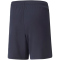 PUMA teamLIGA Training Trainingsshorts 2 Kinder