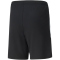 PUMA teamLIGA Training Trainingsshorts 2 Kinder