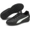 PUMA Monarch II TT Multinocken-Fußballschuhe Kinder puma black/puma white 36