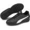 PUMA Monarch II TT Multinocken-Fußballschuhe Kinder PUMA black/PUMA white 38