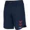 hummel Pro XK Woven Shorts Herren black iris S