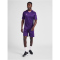 hummel Core XK Poly Trikot Herren acai S