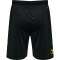 hummel Core XK Poly Shorts Herren black/lime popsicle XXL
