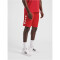 hummel Core XK Poly Shorts Herren true red L