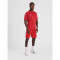 hummel Core XK Poly Shorts Herren true red L