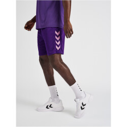 hummel Core XK Poly Shorts Herren acai XXL