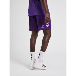 hummel Core XK Poly Shorts Herren acai XXL