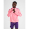 hummel Core XK Poly 1/2-Zip Trainings-Top Herren cotton candy XXL