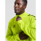 hummel Core XK Poly 1/2-Zip Trainings-Top Herren lime popsicle XXL